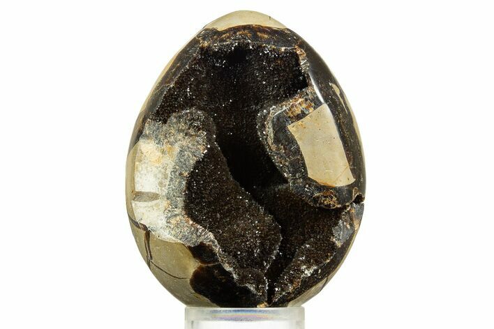 Bargain, Septarian Dragon Egg Geode - Sparkly Black Crystals #344443
